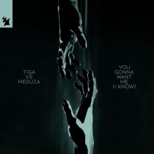 Tiga, Meduza - You Gonna Want Me (I Know) [BTAR0015]