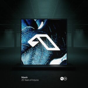 VA - 25 Years Of Anjuna Mixed By Marsh