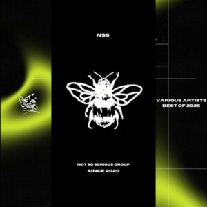 VA - Best Of 2025 [NSD122]