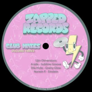 VA - Club Mates, Vol. 3 [ZPDCM03]
