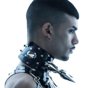 Wax Wings Planet X Chart