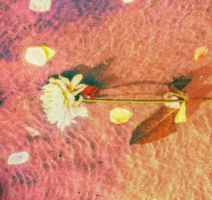 anamē (SE) - Malibu