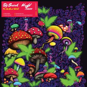 DJ Sneak - For The Soul, Vol. 2 [Hudd072D]