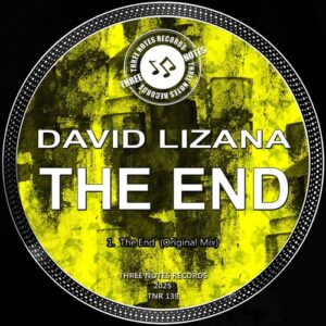 David Lizana - The End (Original Mix) [TNR139]