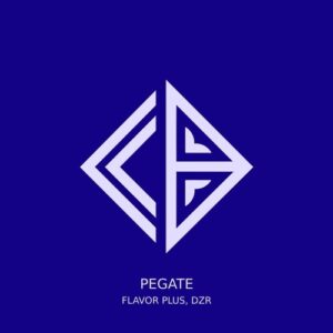 Flavor Plus, DZR - Pegate [656465380937]