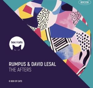 RUMPUS, David LeSal - The Afters [BOC238DJ]
