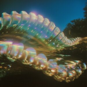 Rollin - Macro Plastic [NS129]