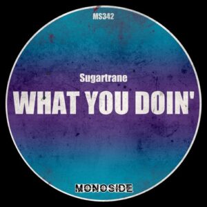 Sugartrane - What You Doin' [MS342]
