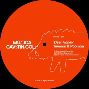 Teemon & Poomba, Arkademode - Dear Honey [MCR025]