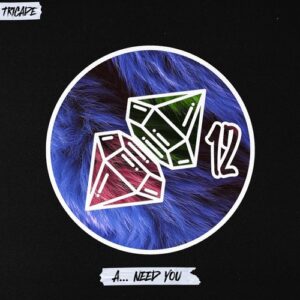 TriCade - Need You [HDD275]