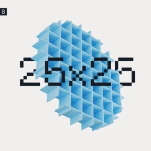 VA - 2025 Collection [BEDDIGI277]