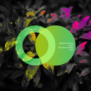 VA - Best Melodic Techno 2025 [AVE294]