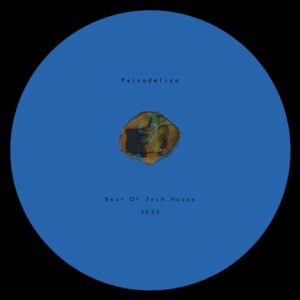 VA - Best Of Tech House 2025 [PSL0571]