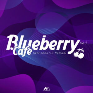 VA - Blueberry Café 2025: Deep Soulful Moods [MSR965]