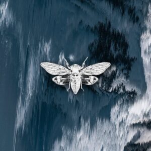 VA - Distorted Reality Vol. IV [CR037]