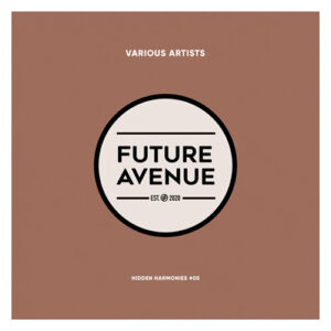 VA - Hidden Harmonies #04 [FALP059]