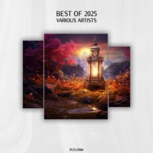 VA - Polyptych Limited White Best of 2025 [PLTL470WB]