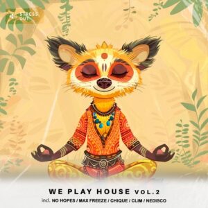 VA - We Play House, Vol. 2 [ST067]