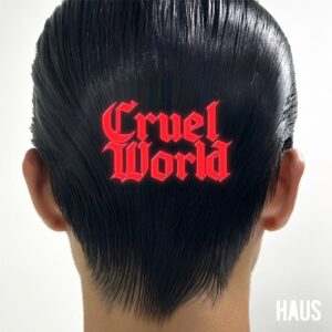 Ver-dikt, Andy Dav - Cruel World [HS002]