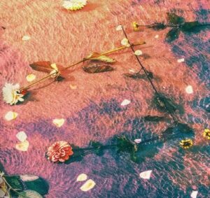 anamē (SE) - Hopes & Fears (Companion EP)