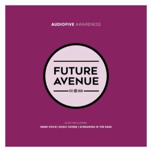 Audiofive - Awareness [FA717]