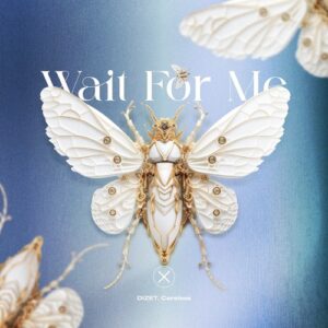 Careless & DIZET - Wait for Me [AXIOM0107]