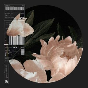 Danny Sbert - Serious Grooves [FGR005]