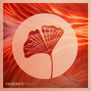 Edgar Aguirre - Tu Papa [RDT096DW]