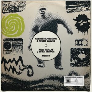 Glenn Morrison, Night Waves (UK) - New Realm / Wild Things [FFGR160]