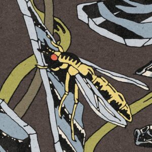 Janus Rasmussen - Murk [4066004910338]