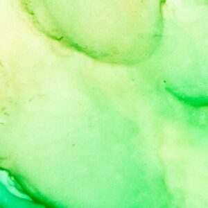 Jon Gurd & Reset Robot - Forest [ECHFRMS011]