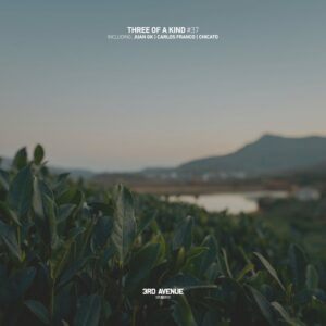 Juan GK, Carlos Franco & Chicato - Three of a Kind #37 [3AV536]