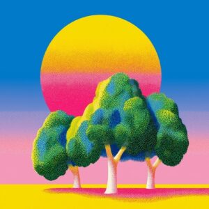 Kashovski - Timbo [MONA166]