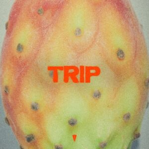 Konstantin Kobra - Trip [4255677166245KON]