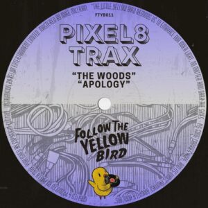 Pixel8 Trax - The Woods - EP [FTYB011]