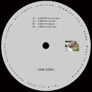 Sam Goku - Explorations 03 [PERMVAC349-3]