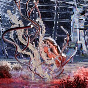 Schlepp Geist - Pollo [INN024]