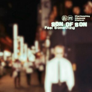 Son of Son, De Ambassade - Feel Something EP [DIYNAMIC272]