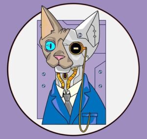 Stephan Barbieri - Baila [Mad079]