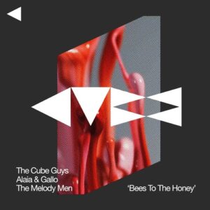 The Cube Guys, Alaia & Gallo, The Melody Men - Bees To The Honey [CUBE369]
