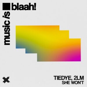 Tiedye, 2LM - She Won't [BLH109]
