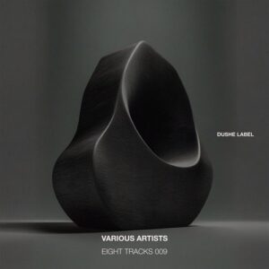 VA - Eight Tracks 009 [DUSHEL241]