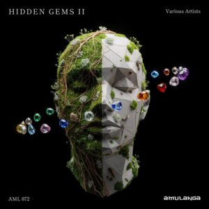VA - Hidden Gems 2 [AML072]