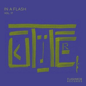 VA - In a Flash, Vol. 17 [FMR298D]
