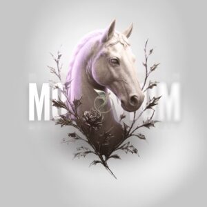 VA - Momentum V [ASTR080]