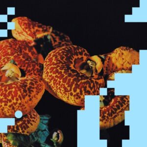 AFFKT - Mapa [FLRS013]