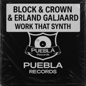 Block & Crown, Erland Galjaard - Work That Synth [P49]