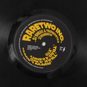 DJ Sneak, Tripmastaz, RareTwo Inc. - 33 CHAMBERS EP [RTC004]