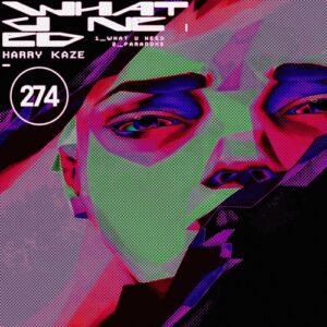 Harry Kaze - What U Need EP [DIYNAMIC274]