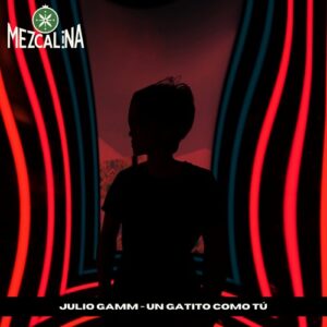 Julio Gamm - Un Gatito Como Tú [MR072]